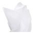 Папір тишею однотонний Folia Tissue Paper 20 гр, 50x70 см 13 аркушів, №00 White Білий - товара нет в наличии