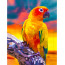 Алмазная мозаика Яркий попугай, 30х40 см SANTI - товара нет в наличии