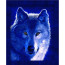 Алмазна мозаїка SANTI Полярний вовк 40*50см на підрамнику - товара нет в наличии