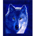 Алмазная мозаика Полярный волк, 40х50 см на подрамнике SANTI