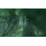 Перламутровий пігмент Sparkle Темно-зелений, 15 мл