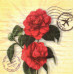 Салфетка для декупажа Розы в письмах