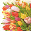 Салфетка для декупажа Букет тюльпанов - товара нет в наличии