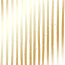 Лист одностороннього паперу з фольгуванням Golden Stripes White, 30,5 см х 30,5 см - товара нет в наличии