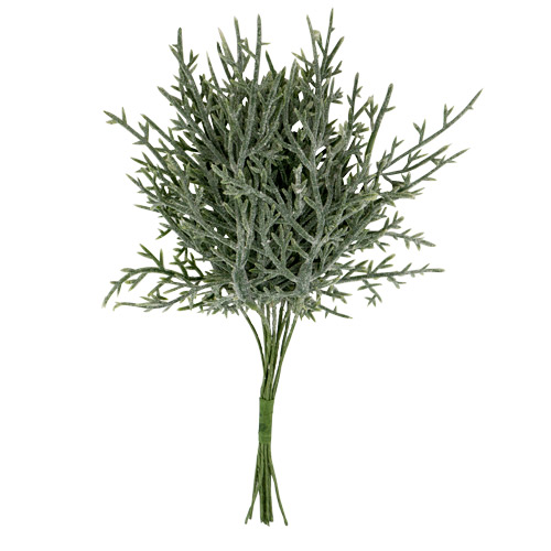 Набор веточек аспарагуса зелений мох, 10шт
