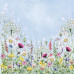 Набір скраппаперу Літній Луг (Summer meadow) 20x20 см, 10 листів