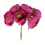 Цветы жасмина maxi Малиновые 6 шт