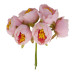 Цветы жасмина maxi Нежно-розовые 6 шт