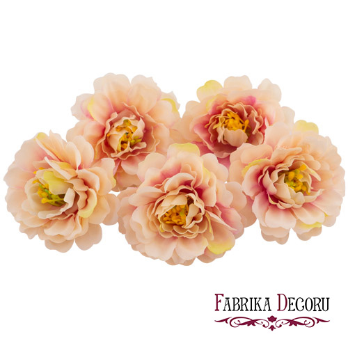 Цветок хризантемы кремовая со светло-розовым, 1шт