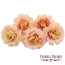 Цветок хризантемы кремовая со светло-розовым, 1шт - товара нет в наличии