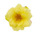 Квітка клематису жовта, 1шт
