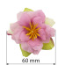 Квітка клематису рожева шеббі, 1шт