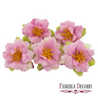 Квітка клематису рожева шеббі, 1шт Квітка клематису рожева шеббі, 1шт