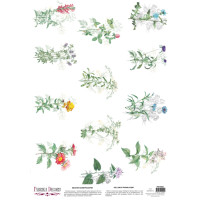 Деко веллум (Лист кальки з малюнком) Wildflowers 1, А3 (29,7см х 42см)