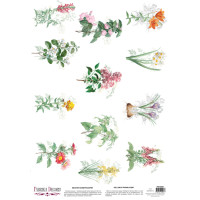 Деко веллум (Лист кальки з малюнком) Wildflowers 2, А3 (29,7см х 42см)