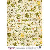 Деко веллум (лист кальки с рисунком) Botany summer Одуванчики, А3 (29,7см х 42см)