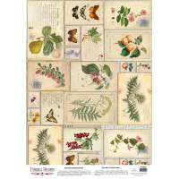 Деко веллум (лист кальки с рисунком) Botany summer Винтажные открытки, А3 (29,7см х 42см)