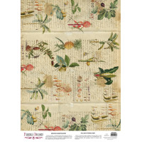 Деко веллум (Лист кальки з малюнком) Botany summer Tropics, А3 (29,7см х 42см)