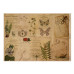 Набор односторонней крафт-бумаги для скрапбукинга Botanical backgrounds 42x29,7 см, 10 листов