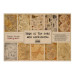 Набор односторонней крафт-бумаги для скрапбукинга Maps of seas and continents 42x29,7 см, 10 листов
