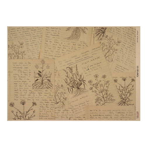 Лист крафт бумаги с рисунком Botanical backgrounds №01, 42x29,7 см