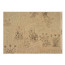 Лист крафт паперу з малюнком Botanical backgrounds №01, 42x29,7 см