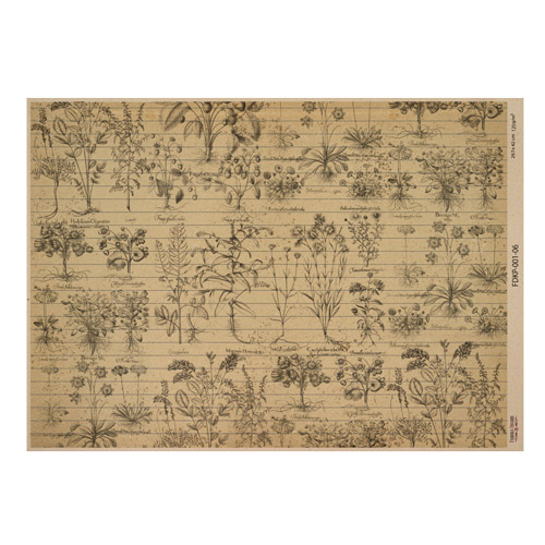 Лист крафт бумаги с рисунком Botanical backgrounds №06, 42x29,7 см