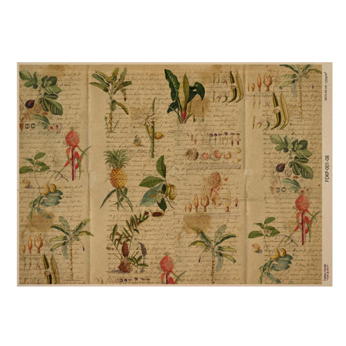 Лист крафт бумаги с рисунком Botanical backgrounds №08, 42x29,7 см