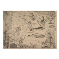 Лист крафт бумаги с рисунком Maps of seas and continents №03, 42x29,7 см