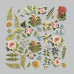 Набор высечек, коллекция Summer botanical story, 47 шт
