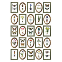 Оверлей Ботанічні Історії в Рамках (Botanical stories in frames) 21х29,7 см