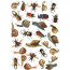 Оверлей Жуки та Равлики (Beetles and snails) 21х29,7 см