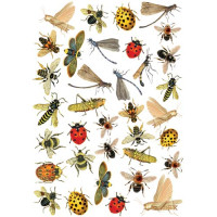 Оверлей Яскраві Літні Комахи (Bright summer insects) 21х29,7 см