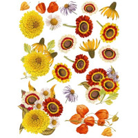 Оверлей Летние Цветы (Summer flowers) 21х29,7 см