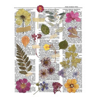 Оверлей Ботанічна Історія (Botanical story) 21х29,7 см