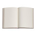 Записная книжка Paperblanks Миниатюры Мичико - Кикка большой 23х18 см Нелинированный Flexi (9781439753538)