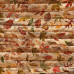 Лист двусторонней бумаги для скрапбукинга Autumn botanical diary 58-04 30,5х30,5 см