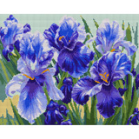 Алмазная мозаика на подрамнике Голубые ирисы 40х50см, SANTI