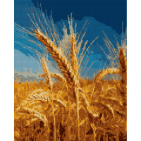 Алмазна мозаїка SANTI Золотий колос 40*50см на підрамнику