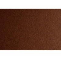 Бумага для дизайна Colore A4 (21x29,7см), №26 мarone, 200г/м2, коричневая, мелкое зерно, Fabriano