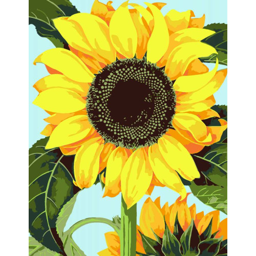 Картина за номерами набір-стандарт Квітка соняшника ROSA START, 35х45 см