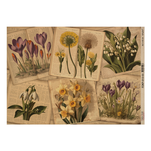 Аркуш крафт паперу з малюнком Botany spring, №3, 42x29,7 см
