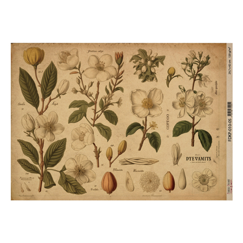 Лист крафт бумаги с рисунком Botany spring, №5, 42x29,7 см