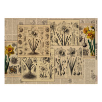 Аркуш крафт паперу з малюнком Botany spring, №6, 42x29,7 см