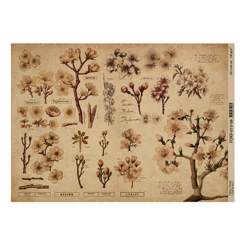 Лист крафт бумаги с рисунком Botany spring, №8, 42x29,7 см
