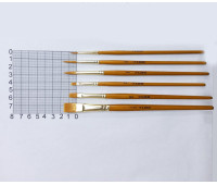 Набір пензлів із синтетичного ворсу 7198