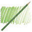 Твердый карандаш Prismacolor Verithin Apple Green N 738.5