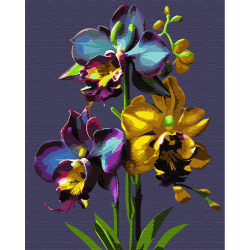 Картина за номерами Орхідеї 40х50 см, SANTI