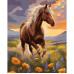 Картина по номерам Лошадь на лугу 40х50 см, SANTI