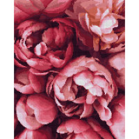 Алмазная мозаика Зефирные пионы 40х50 см на подрамнике SANTI
